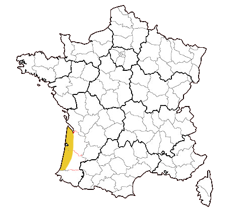 Carte de France - Côte d'argent